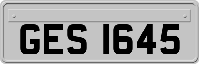 GES1645