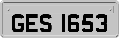 GES1653