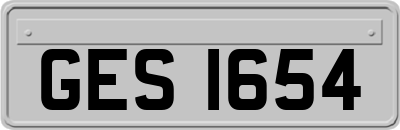 GES1654