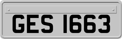 GES1663