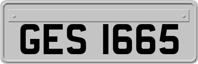 GES1665