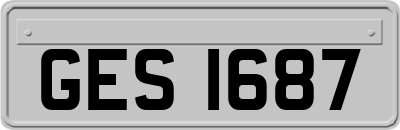 GES1687