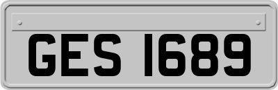 GES1689