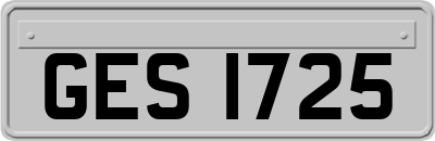 GES1725
