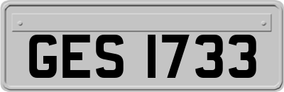 GES1733