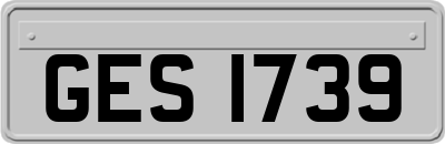 GES1739