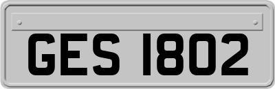 GES1802