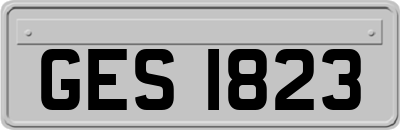 GES1823