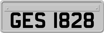 GES1828