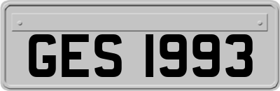 GES1993