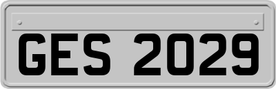 GES2029