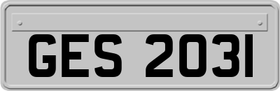 GES2031