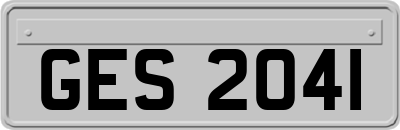 GES2041
