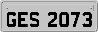 GES2073