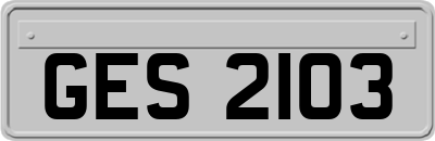 GES2103