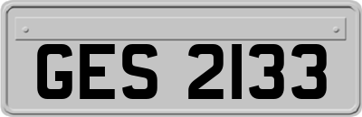 GES2133