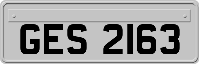 GES2163
