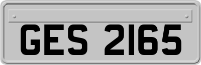 GES2165