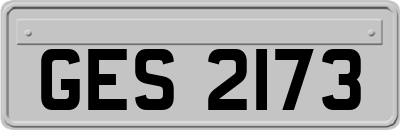 GES2173