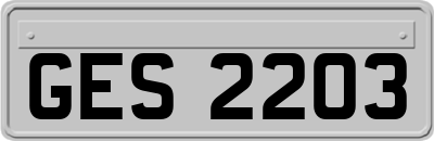 GES2203