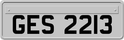 GES2213