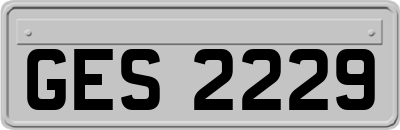 GES2229