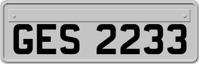 GES2233