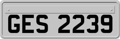 GES2239