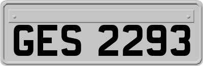 GES2293