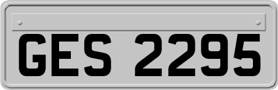 GES2295