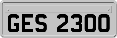 GES2300