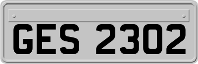 GES2302