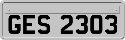GES2303