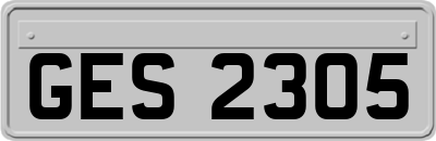 GES2305