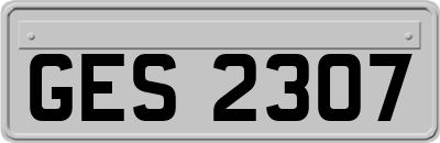 GES2307