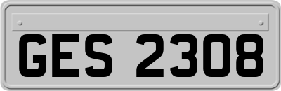 GES2308