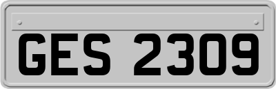GES2309