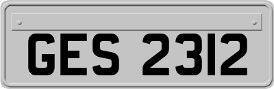 GES2312