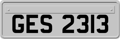 GES2313