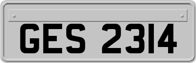 GES2314
