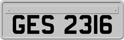 GES2316