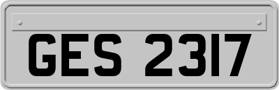 GES2317