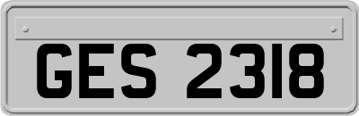 GES2318