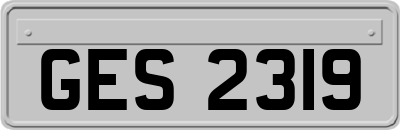 GES2319