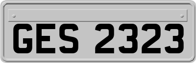 GES2323