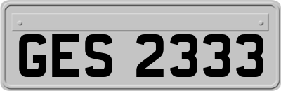 GES2333