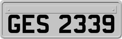 GES2339