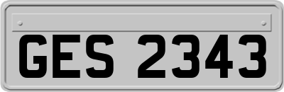 GES2343