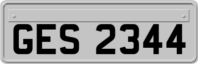 GES2344