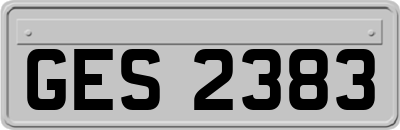 GES2383